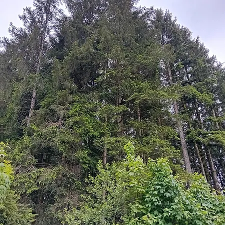 Chambre Studio * Gerardmer